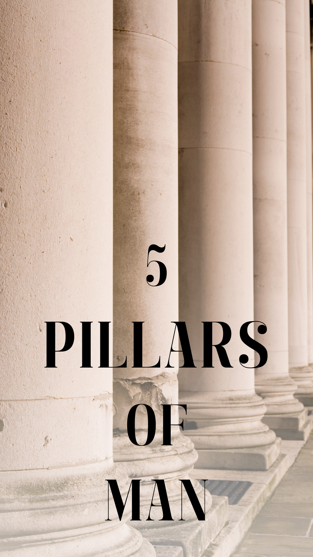 Read more about the article 5 PILLARS FOR MEN TO HAVE BALANCE IN LIFE